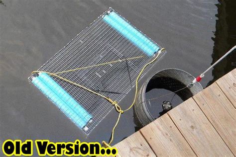 Amazon.com: Fish Cage.